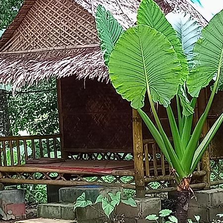 Khaijungleexperiencecamp&tour Apartment Khao Sok National Park Luaran gambar
