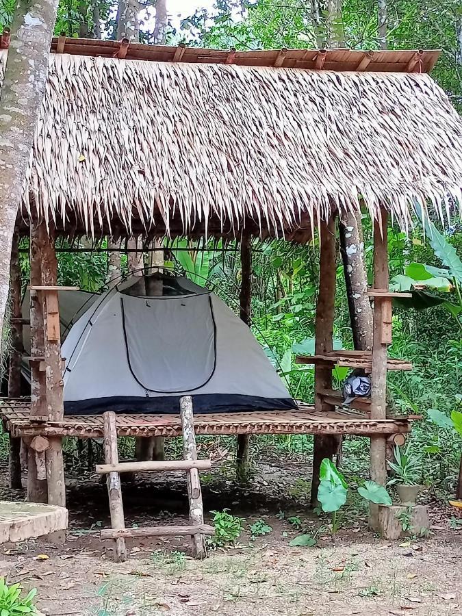 Khaijungleexperiencecamp&tour Apartment Khao Sok National Park Luaran gambar