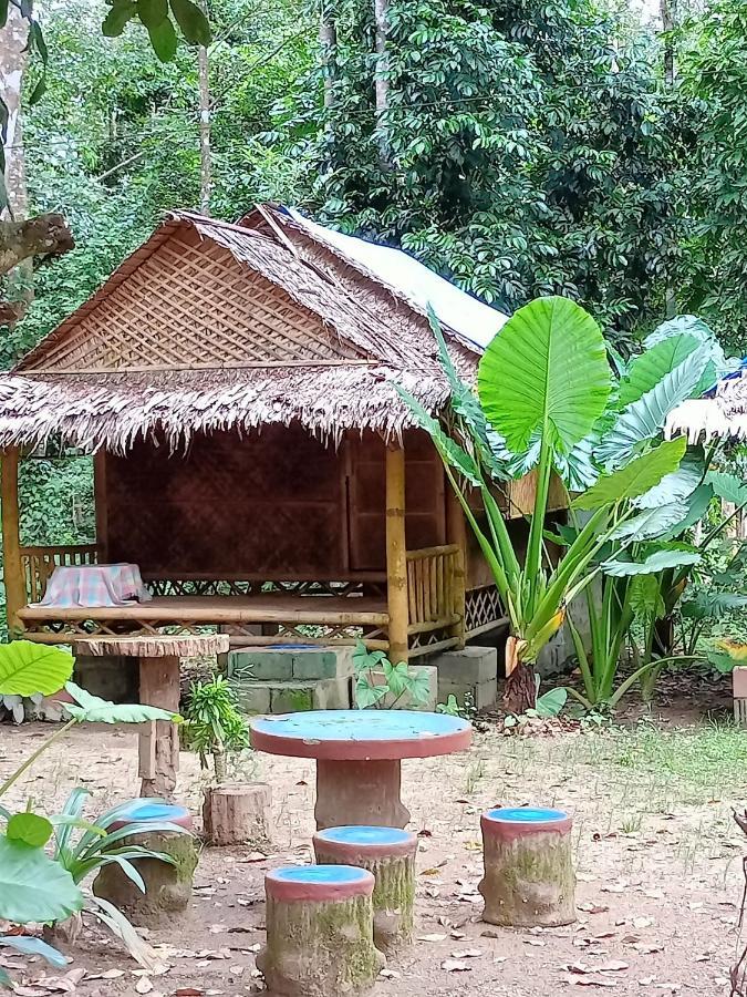 Khaijungleexperiencecamp&tour Apartment Khao Sok National Park Luaran gambar