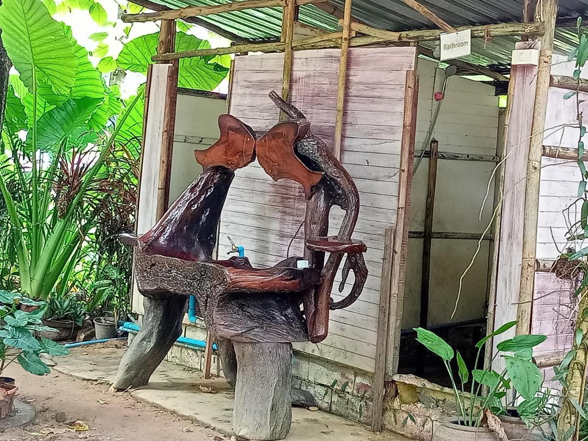 Khaijungleexperiencecamp&tour Apartment Khao Sok National Park Luaran gambar