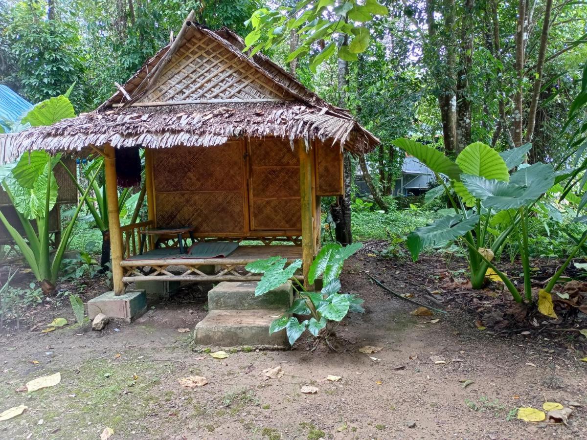 Khaijungleexperiencecamp&tour Apartment Khao Sok National Park Luaran gambar